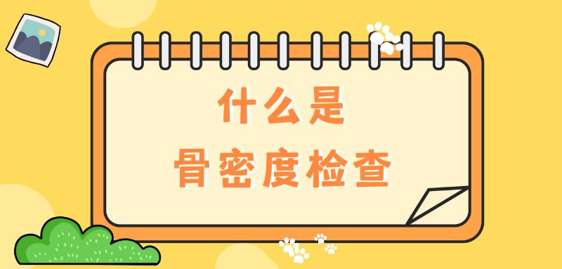 【雙能x線骨密度儀】什么是骨密度檢查？該怎么查？